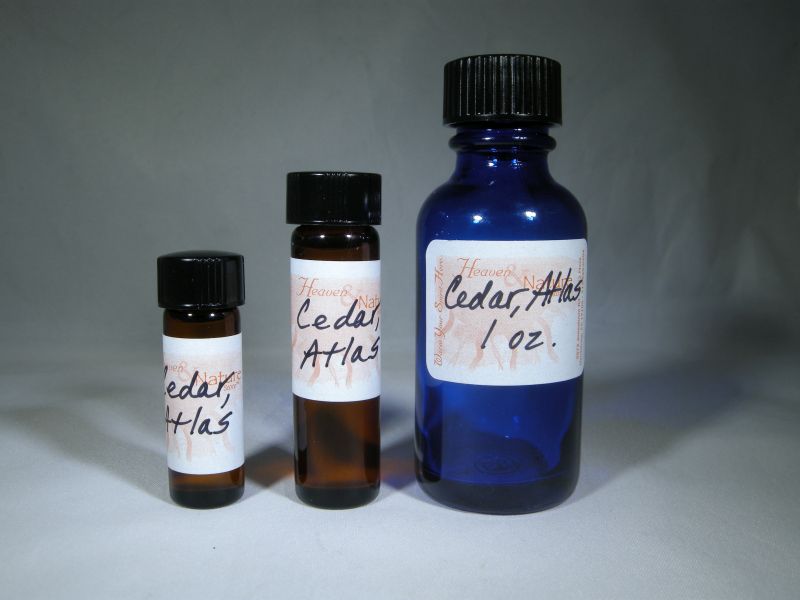 Blue Atlas Cedarwood Essential Oil for Hair and Body - Natural Insect Repellent - wide 1
