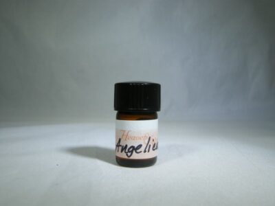 Angelica Essential Oil